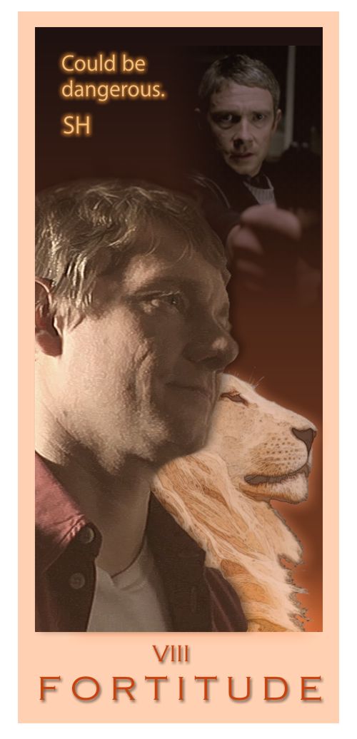 Major Arcana card VIII: Fortitude