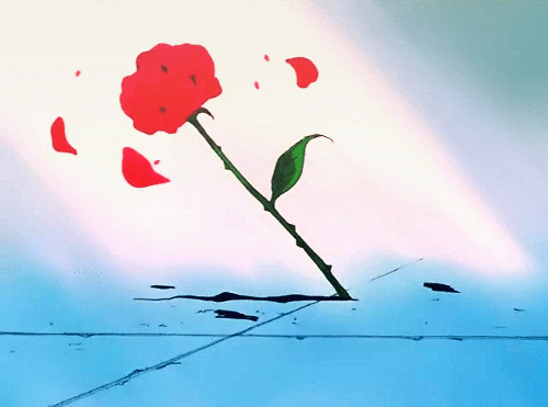 animated_rose_.gif