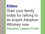 Want a kitten? Hire an adoption lawyer