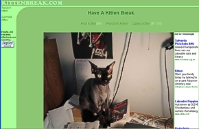 Screencap from Kittenbreak.com