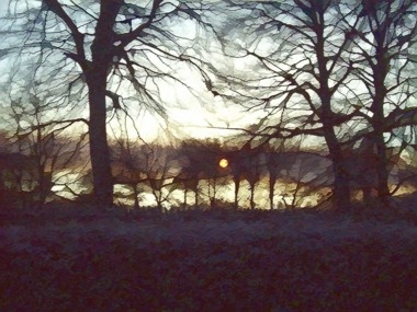 Midwinter Sunset in the Demesne