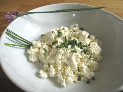 Homemade cottage cheese with chives
