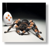Robot tarantula