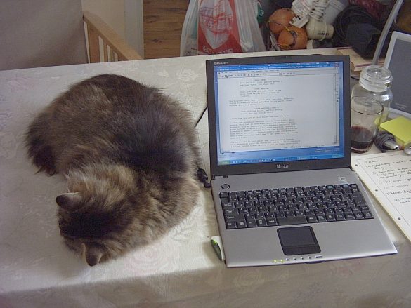 Squeak and Ryoh-Ohki