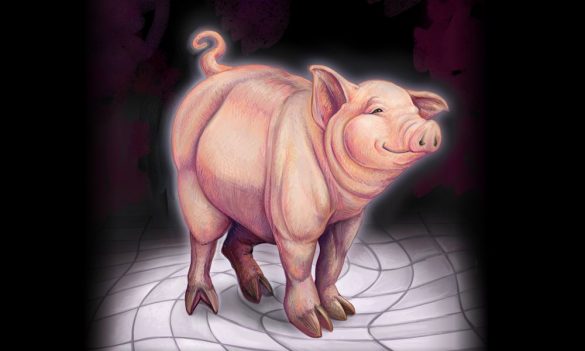 The Transcendent Pig