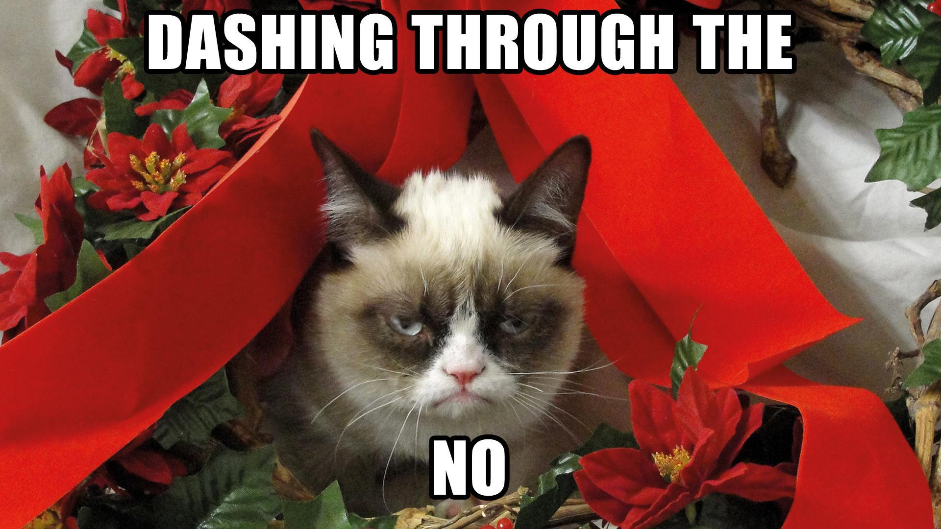 Merry Christmas Cat Meme