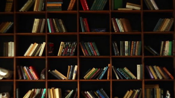 books on shelves