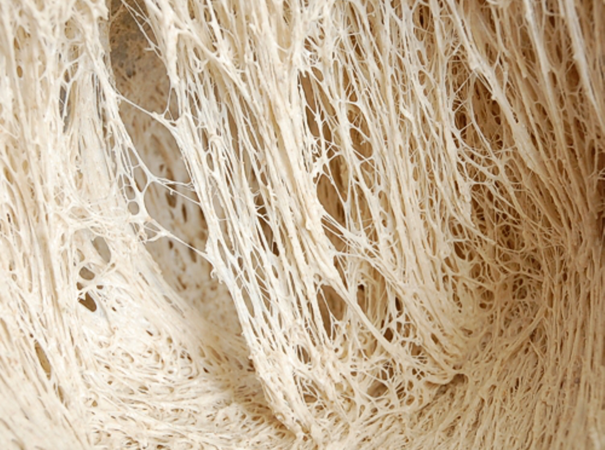 A French rye bread recipe from Raymond Blanc, with folkloric overtones