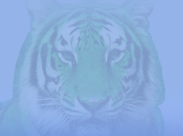 Herself cover image