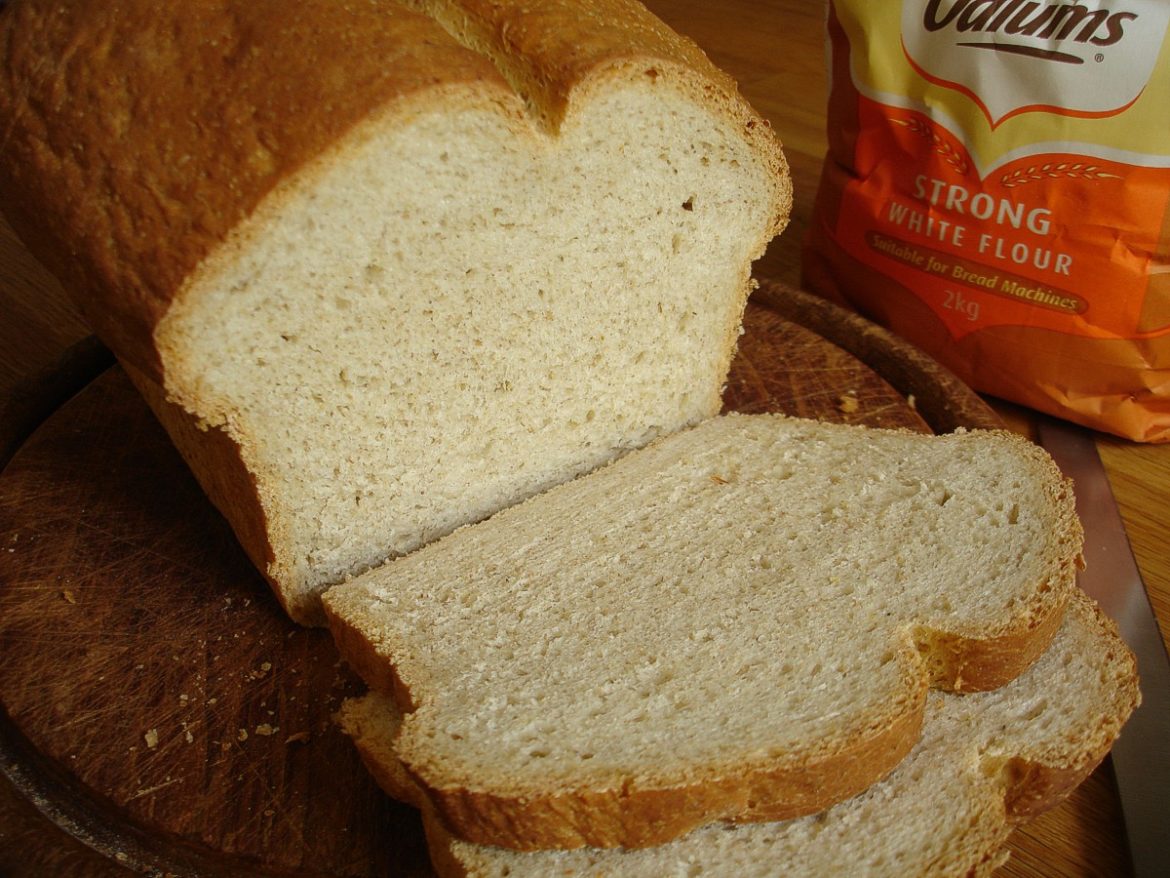 Bread and squirrels Out of Ambit