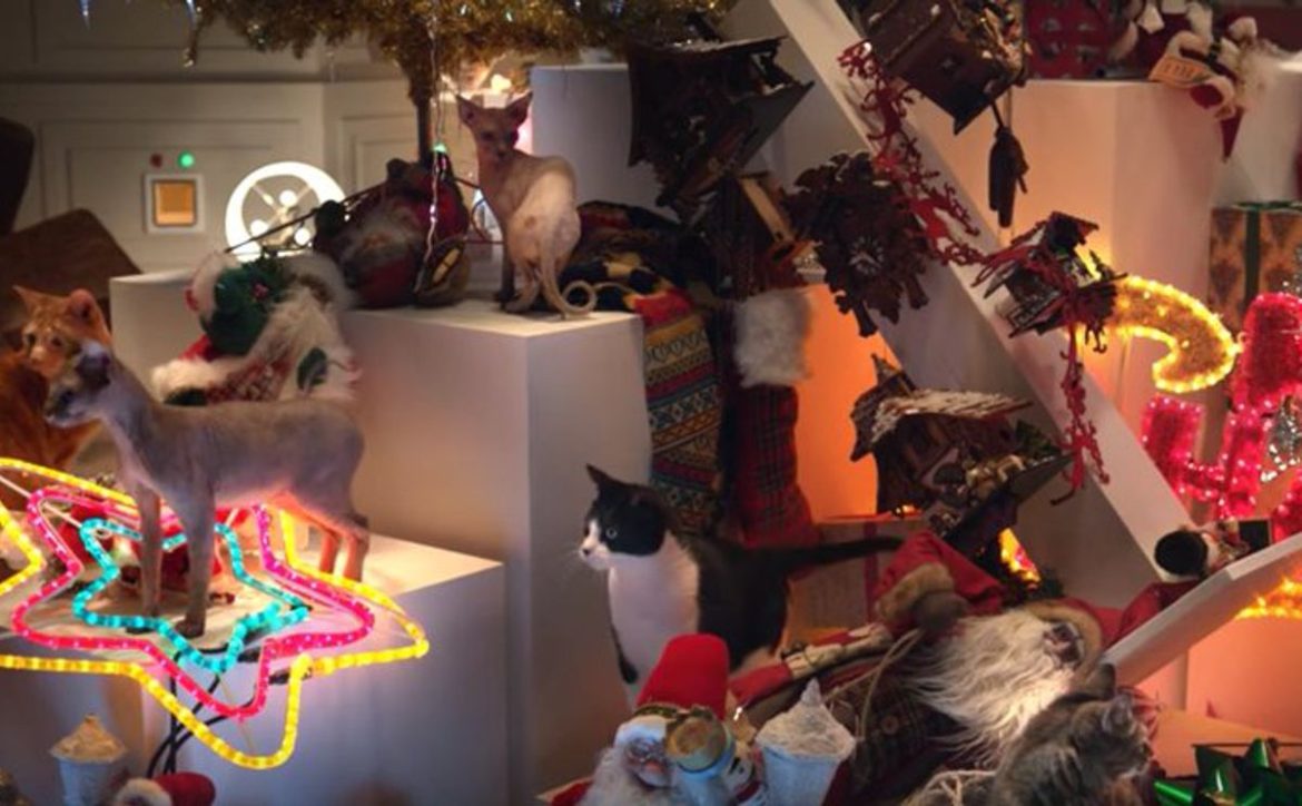 cats-destroy-christmas-2
