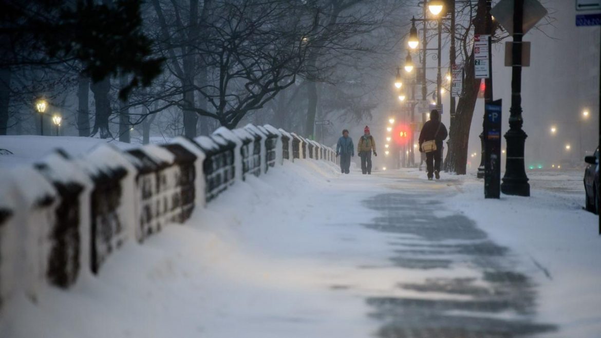 Central Park in the snow