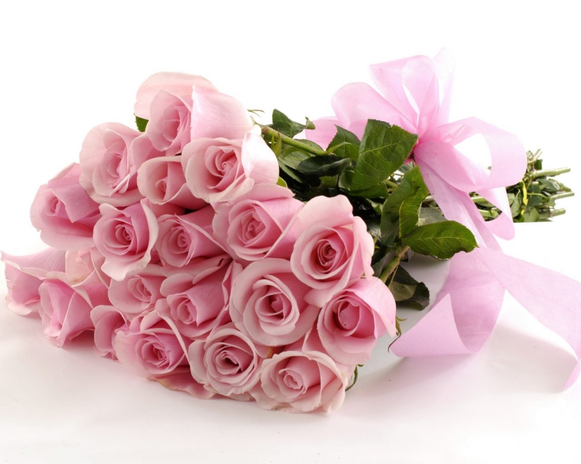 pink roses