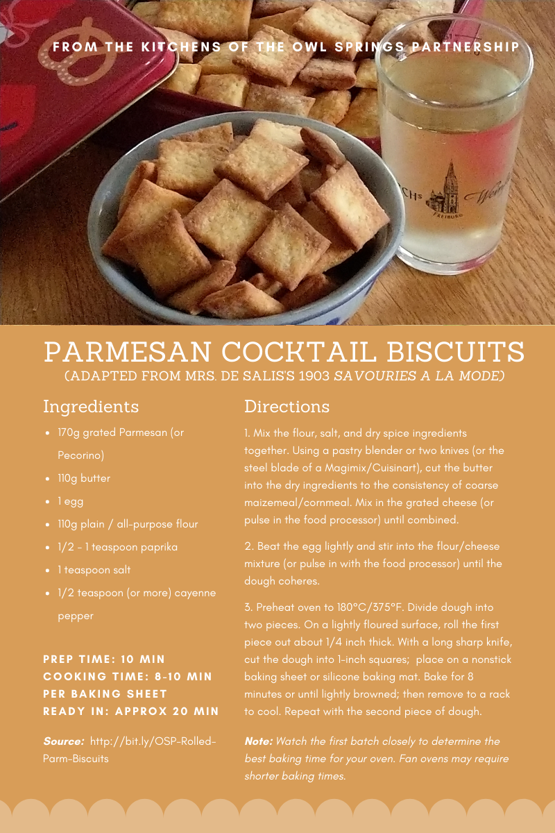https://www.dianeduane.com/outofambit/wp-content/uploads/2021/09/Parmesan-Cocktail-Biscuit-Rolled-Out-Version2.png