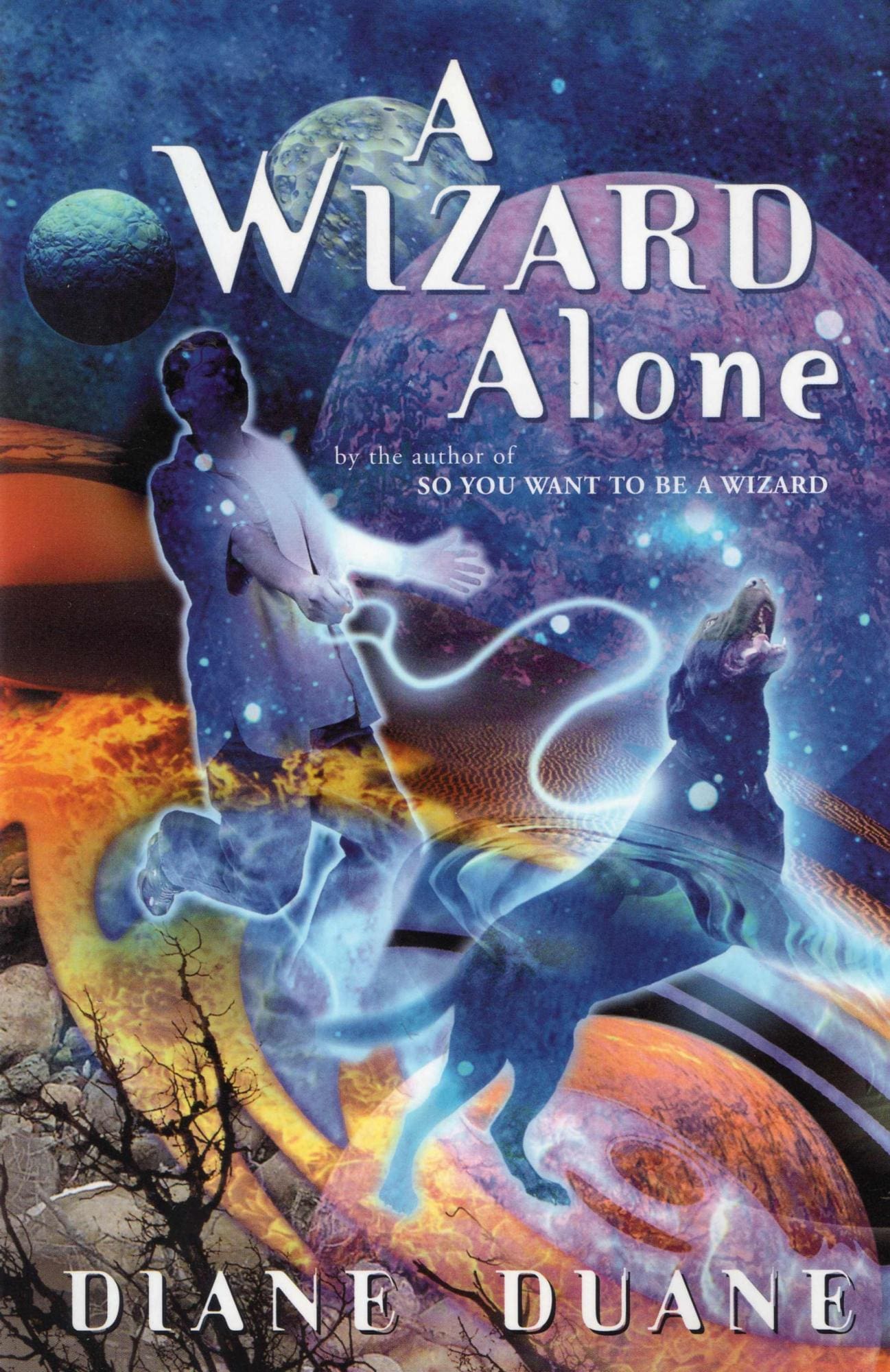 A WIZARD ALONE 1st edition hc cover